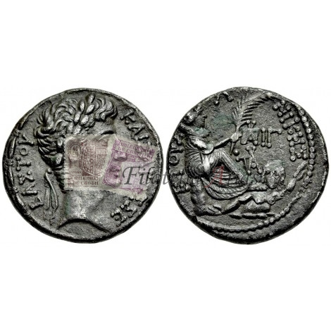 Augusto. Tetradracma (27 a.C. - 14 d.C.)