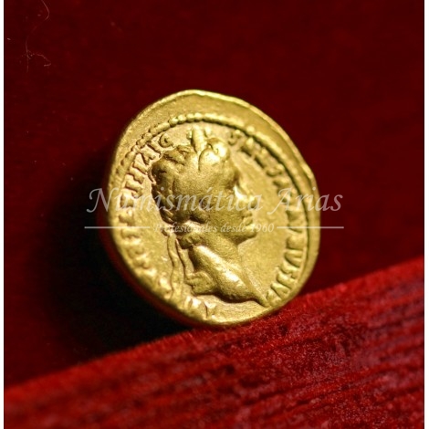 Augusto. Aúreo (2 a.C. - 4 d.C.) Lugdunum (Lyon). Calicó 176a. MBC