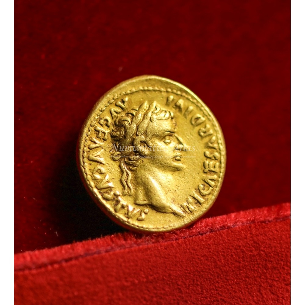 Tiberio. Aúreo (14-37 d.C.) Lugdunum (Lyon). Calicó 305c. MBC+