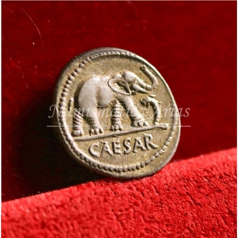 Julio César. Denario. Ceca militar móvil (54-51 a.C.) EBC+