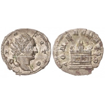 Trajano Decio. Antoniniano (251 d.C.). Divo Tito. EBC