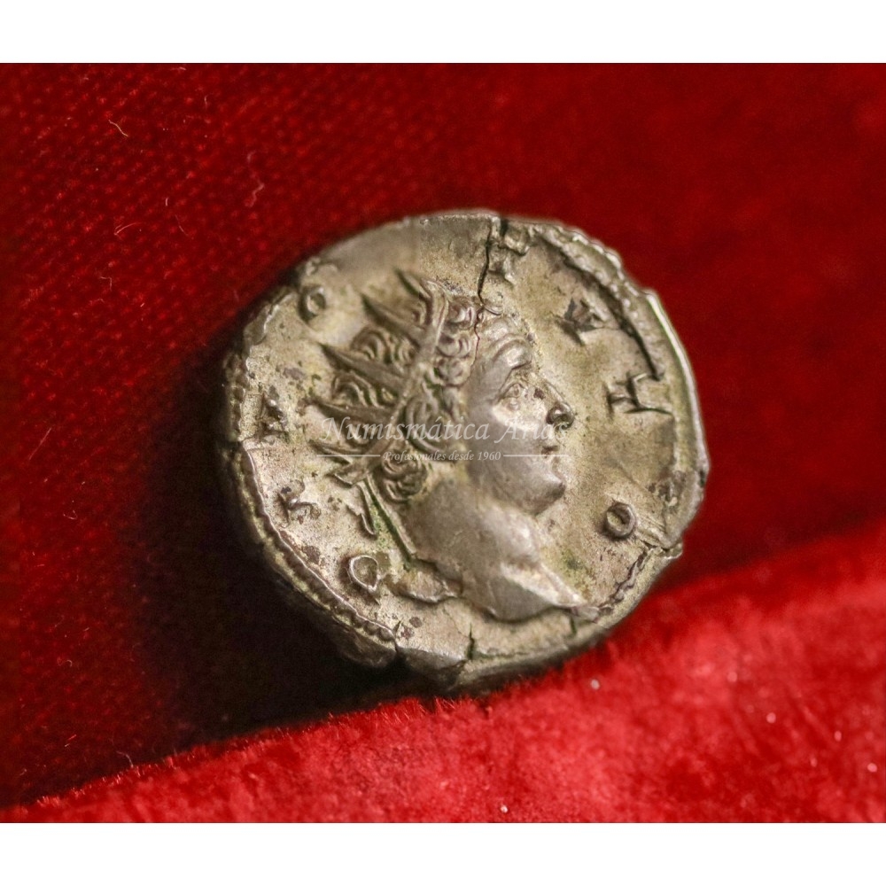 Trajano Decio. Antoniniano (251 d.C.). Divo Tito. EBC