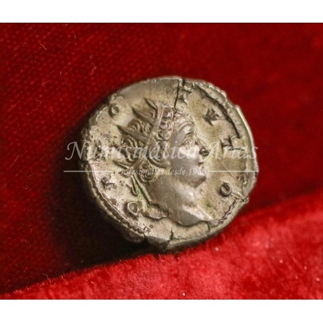 Trajano Decio. Antoniniano (251 d.C.). Divo Tito. EBC