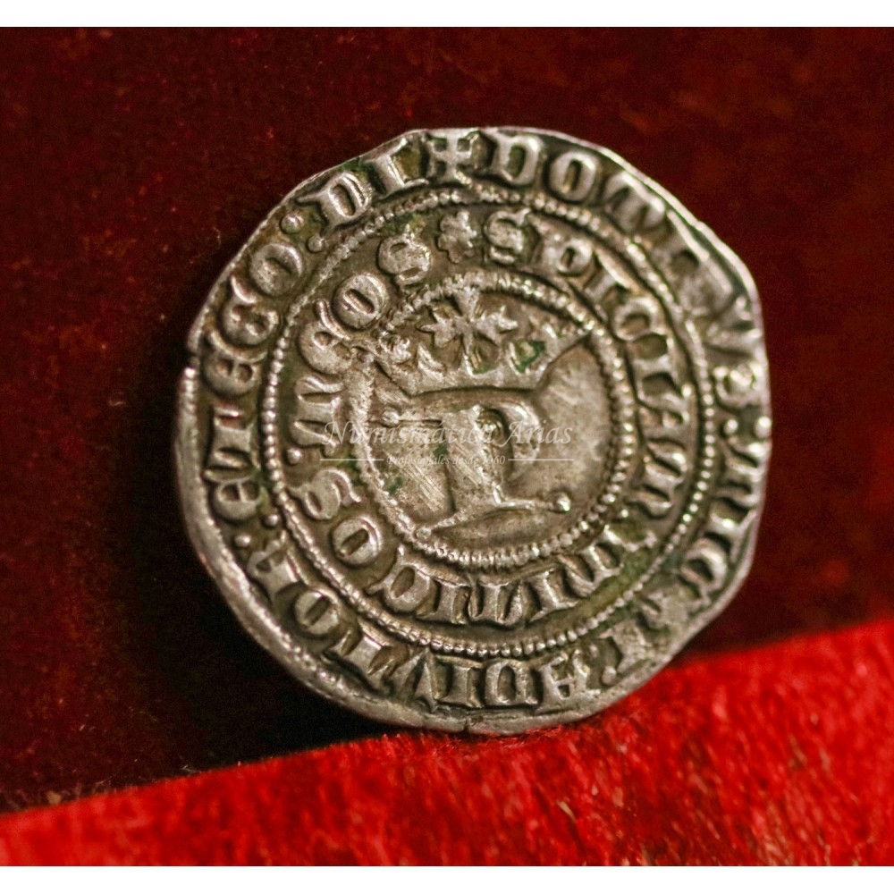 Reino de Castilla y León. Pedro I. Real. Burgos. MBC