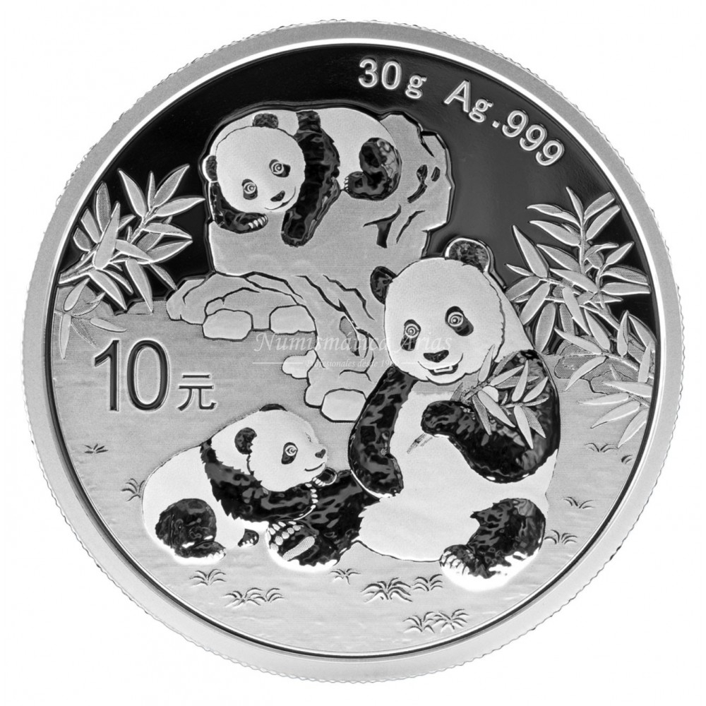 China - Panda 2025 - 30g. Ag 999