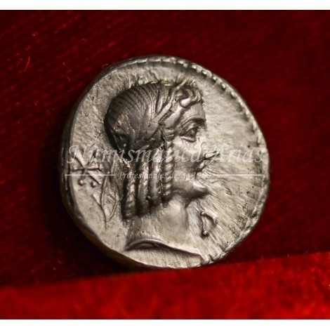 República romana. Calpurnius Piso Frugi. Denario (90 a.C.). Crawford 340/1. EBC+.