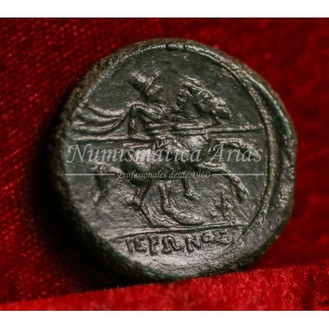 Siracusa. Hieron II. Hemilitron. 275-215 a.C. EBC+