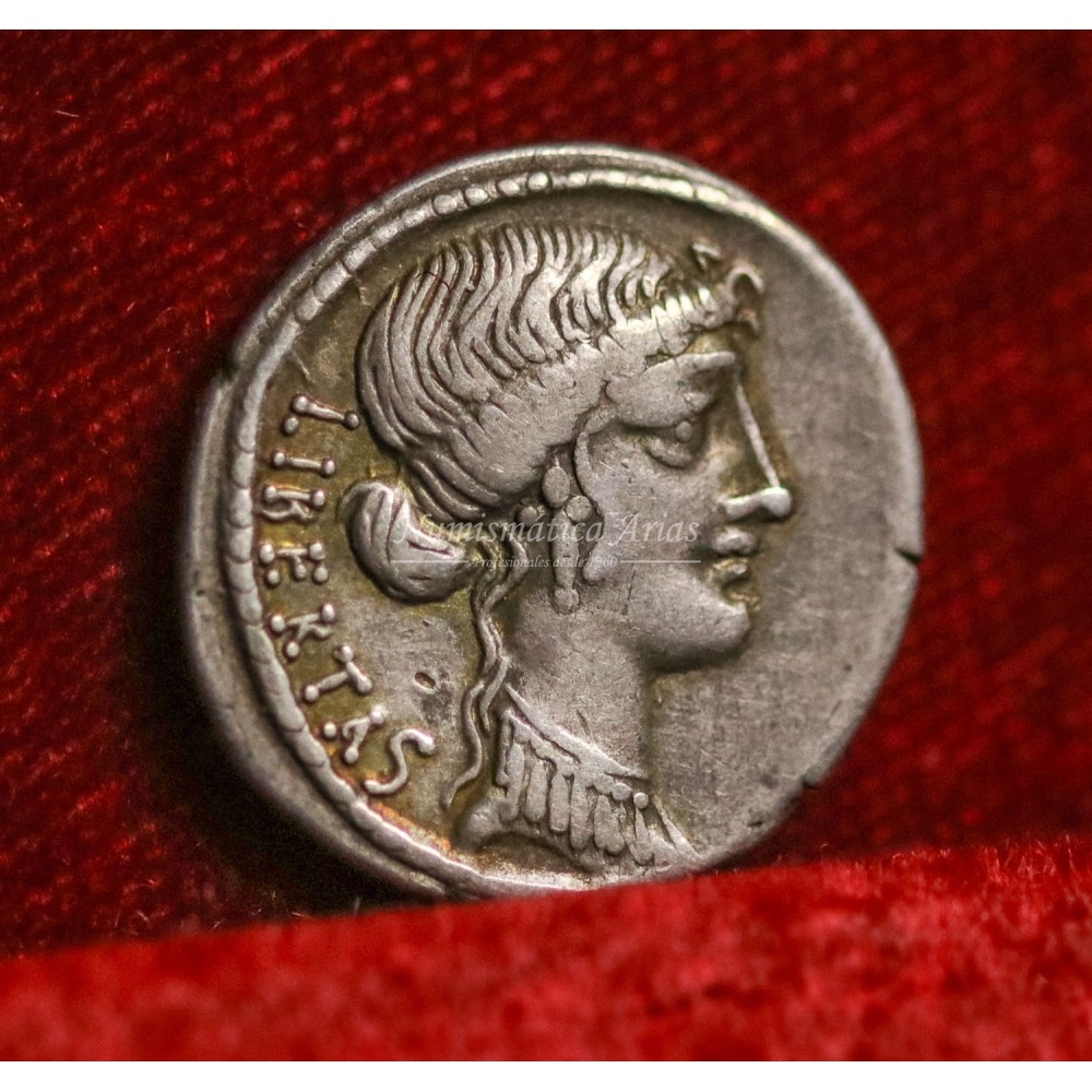 Brutus/Bruto. Denario (54 a.C.). EBC-