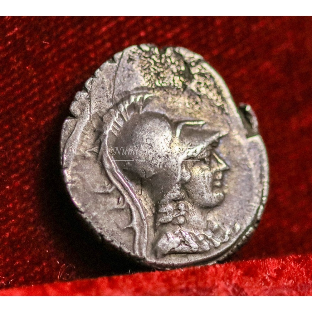 Considia. Denario (46 a.C.) MBC+