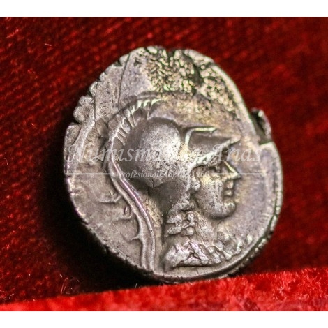 Considia. Denario (46 a.C.) MBC+