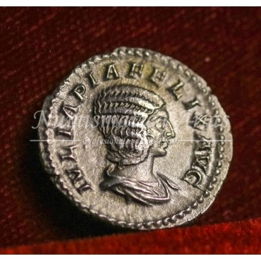 Julia Domna. Denario (211-217 d.C.) RIC. 588c. EBC+