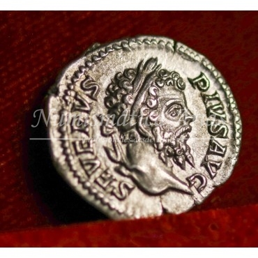 Septimio Severo. Denario (202-210 d.C.) RIC. 295. SC-