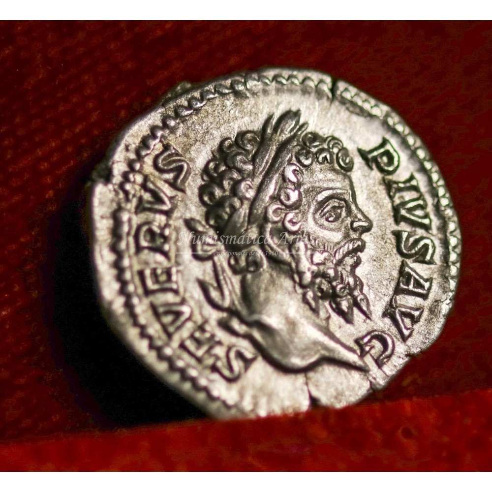 Septimio Severo. Denario (202-210 d.C.) RIC. 295. SC-