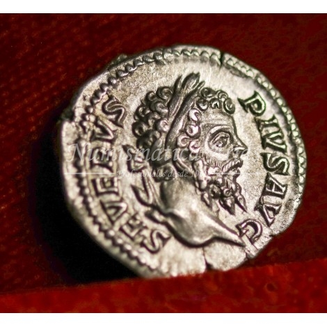 Septimio Severo. Denario (202-210 d.C.) RIC. 295. SC-