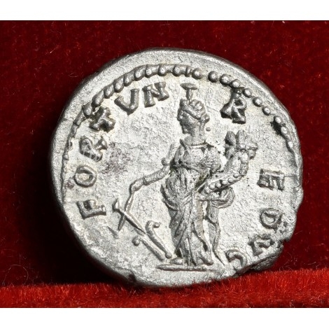 Septimio Severo. Denario (208 d.C.) RIC. 377. EBC+