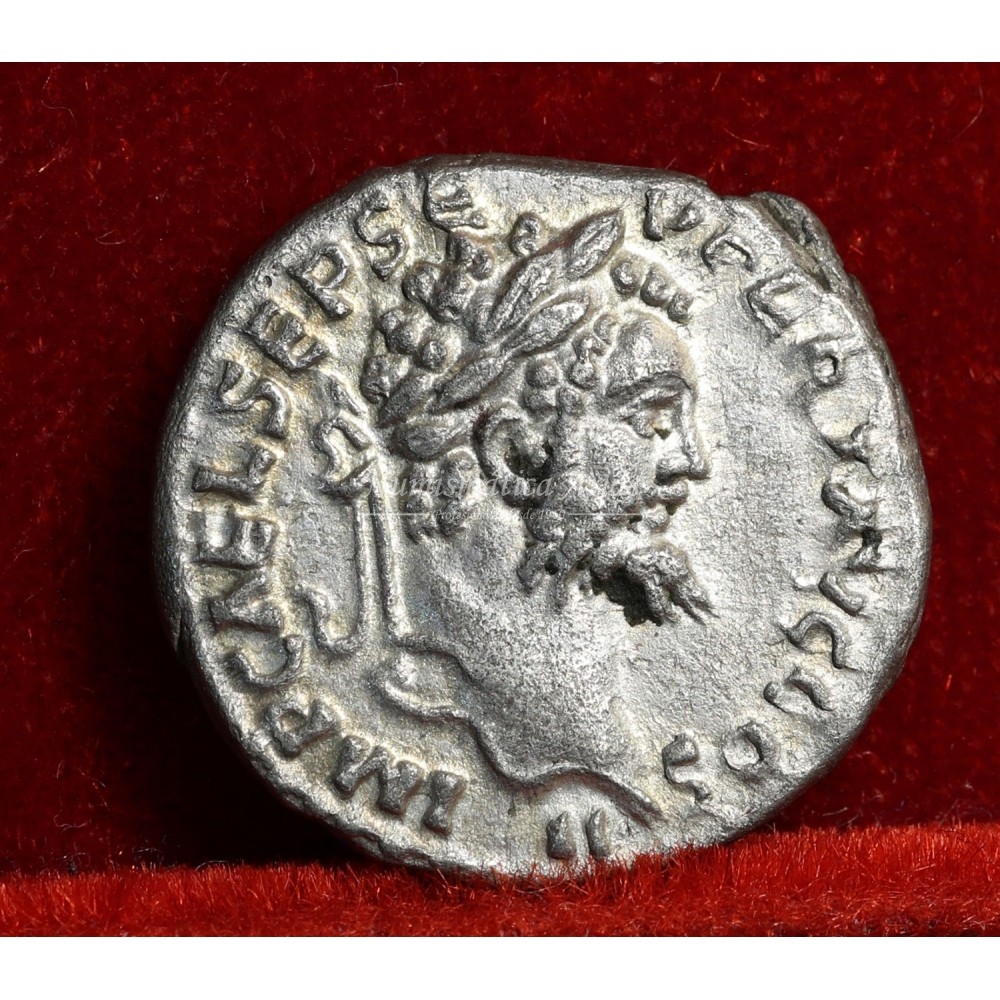 Septimio Severo. Denario (208 d.C.) RIC. 377. EBC+