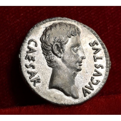 Augusto. Denario (19 a.C.) Colonia patricia. RIC. 40a. EBC+.