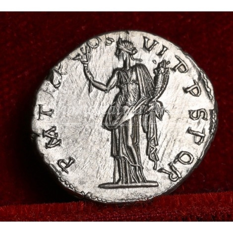 Trajano. Denario (114-116 d.C.) RIC. 343. SC