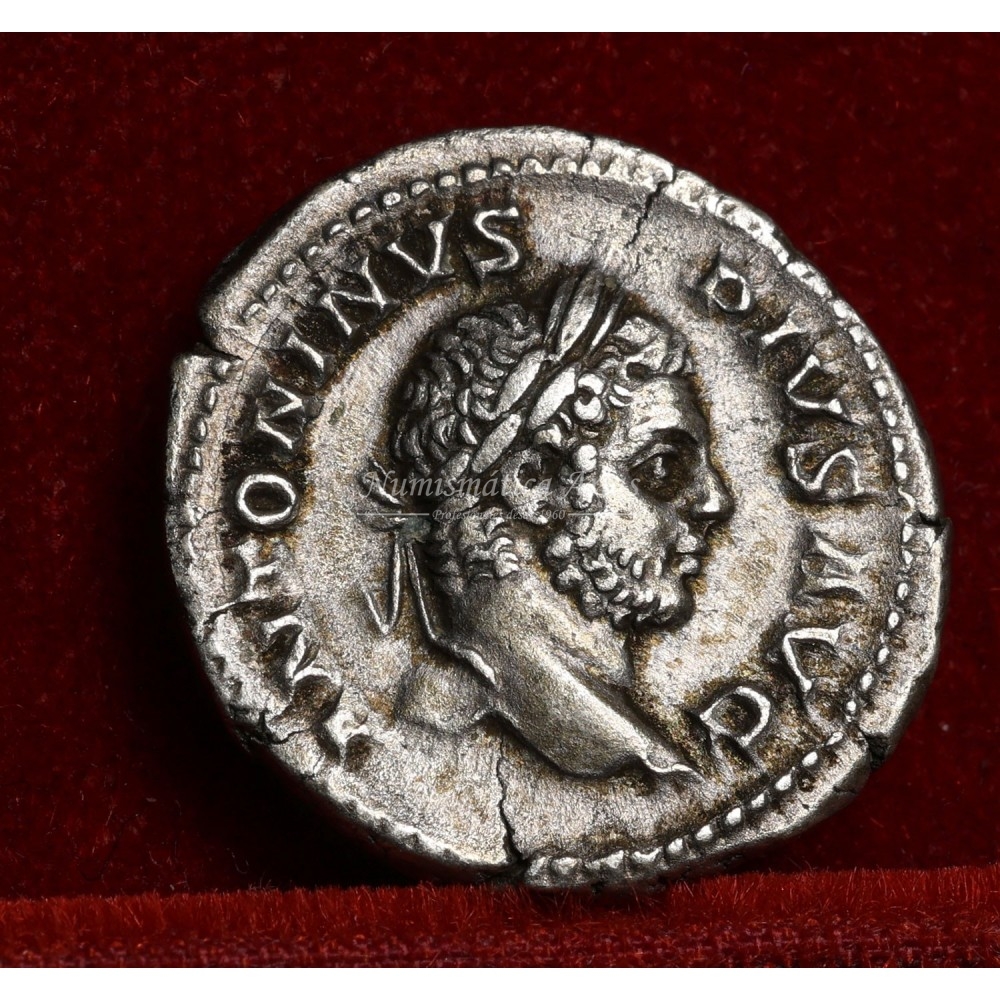 Caracalla. Denario (209 d.C.) RIC. 111. EBC