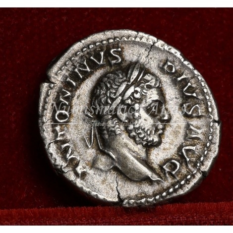 Caracalla. Denario (209 d.C.) RIC. 111. EBC