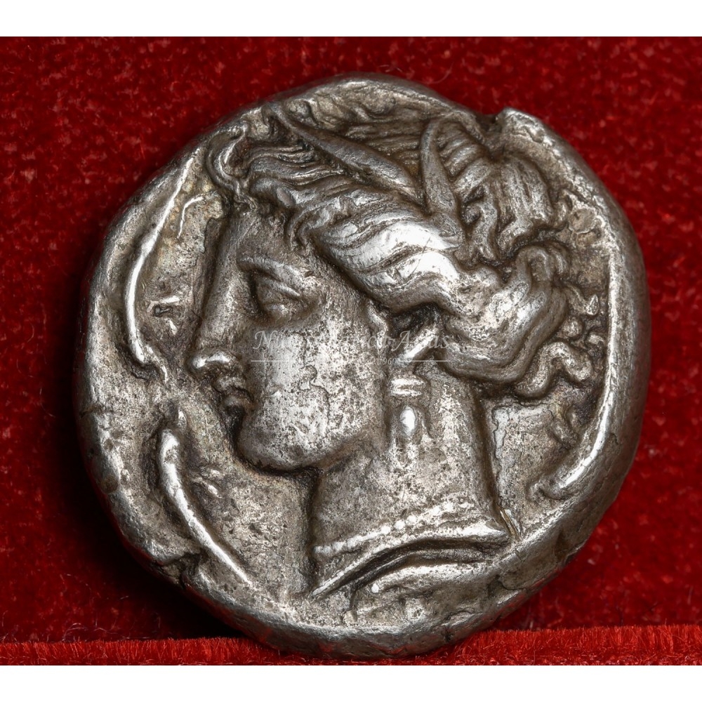 Sicilia. Emisiones sícula-púnicas. Tetradracma. s. IV a.C.