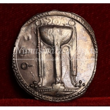 Burttium. Crotona. Estátera. 530-500 a.C. SNG. 227. EBC-